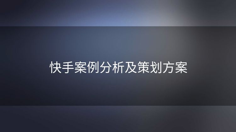 快手案例分析及策划方案 快手案例分析及策划方案