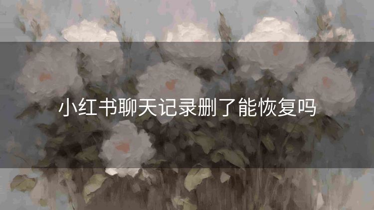 小红书聊天记录删了能恢复吗 小红书聊天记录删了能恢复吗