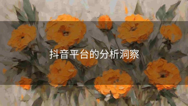 抖音平台的分析洞察