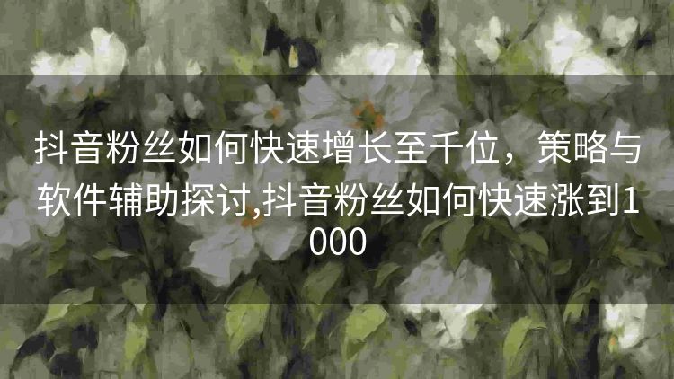 抖音粉丝如何快速增长至千位，策略与软件辅助探讨,抖音粉丝如何快速涨到1000