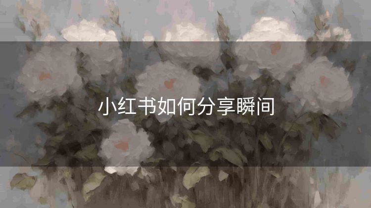 小红书如何分享瞬间 小红书如何分享瞬间