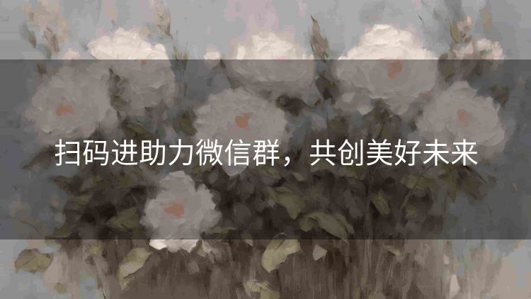 扫码进助力微信群,共创美好未来 扫码进助力微信群,共创美好未来