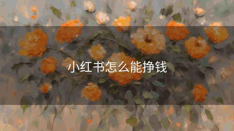 小红书怎么能挣钱 小红书怎么能挣钱