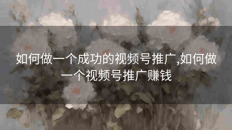 如何做一个成功的视频号推广,如何做一个视频号推广赚钱 如何做一个成功的视频号推广,如何做一个视频号推广赚钱