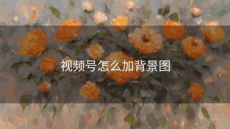 视频号怎么加背景图
