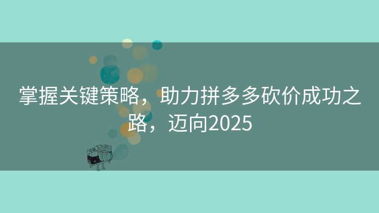 掌握关键策略,助力拼多多砍价成功之路,迈向2025 掌握关键策略,助力拼多多砍价成功之路,迈向2025