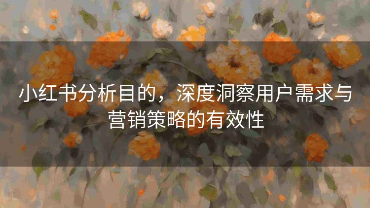 小红书分析目的，深度洞察用户需求与营销策略的有效性