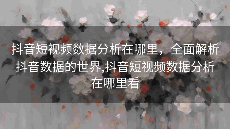 抖音短视频数据分析在哪里,全面解析抖音数据的世界,抖音短视频数据分析在哪里看 抖音短视频数据分析在哪里,全面解析抖音数据的世界,抖音短视频数据分析在哪里看