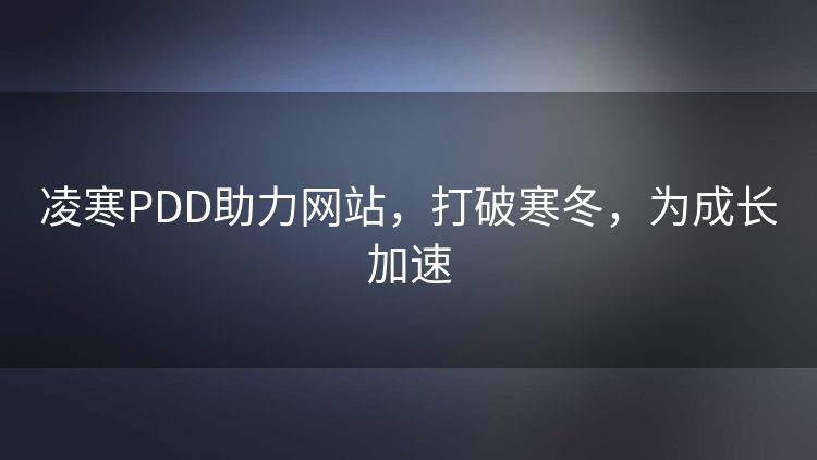 凌寒PDD助力网站，打破寒冬，为成长加速