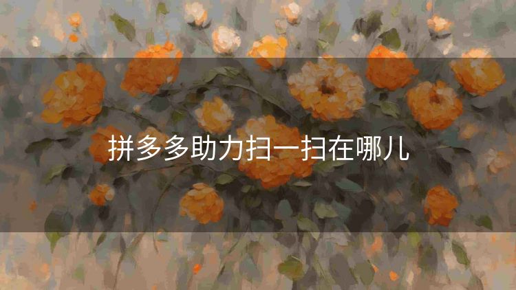 拼多多助力扫一扫在哪儿 拼多多助力扫一扫在哪儿