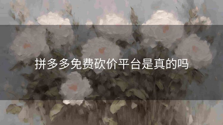 拼多多免费砍价平台是真的吗 拼多多免费砍价平台是真的吗