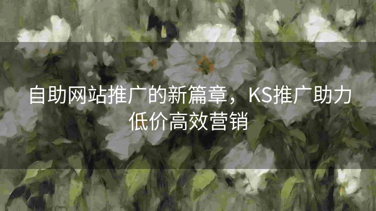 自助网站推广的新篇章，KS推广助力低价高效营销