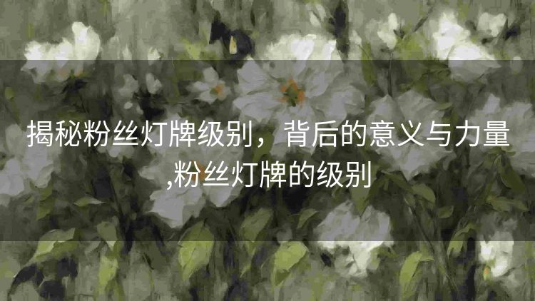 揭秘粉丝灯牌级别，背后的意义与力量,粉丝灯牌的级别
