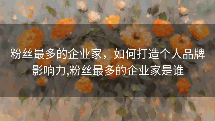 粉丝最多的企业家，如何打造个人品牌影响力,粉丝最多的企业家是谁