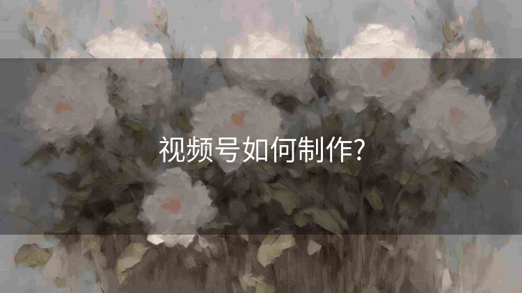 视频号如何制作? 视频号如何制作?