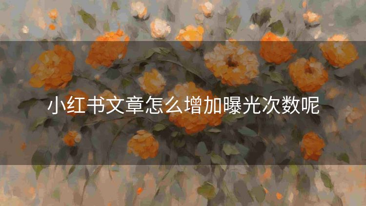 小红书文章怎么增加曝光次数呢 小红书文章怎么增加曝光次数呢