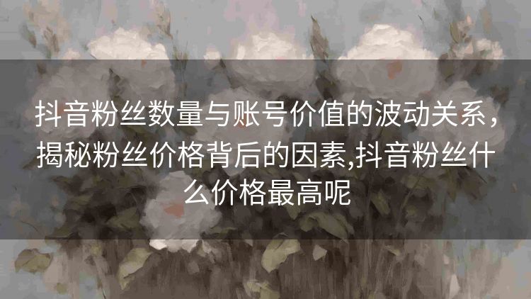 抖音粉丝数量与账号价值的波动关系,揭秘粉丝价格背后的因素,抖音粉丝什么价格最高呢 抖音粉丝数量与账号价值的波动关系,揭秘粉丝价格背后的因素,抖音粉丝什么价格最高呢