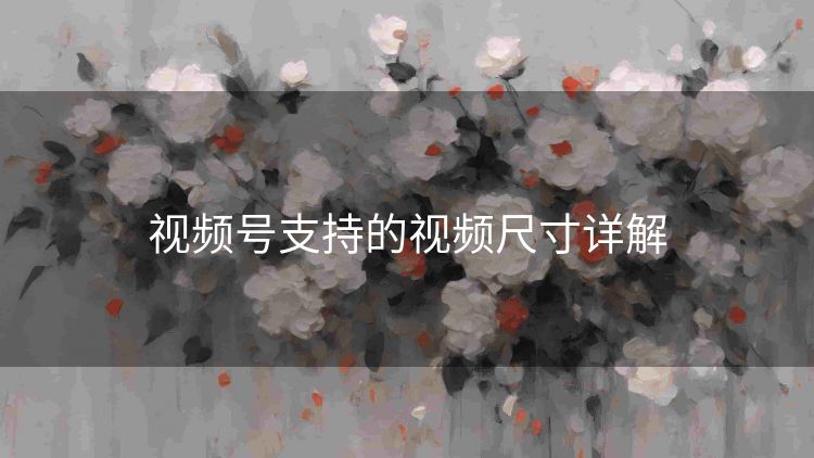 视频号支持的视频尺寸详解