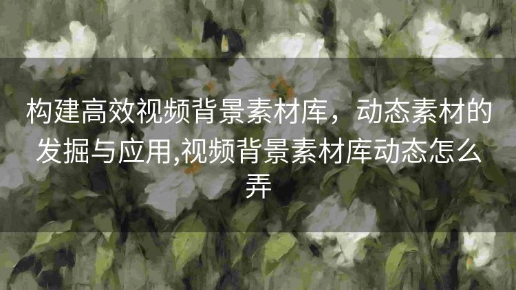 构建高效视频背景素材库，动态素材的发掘与应用,视频背景素材库动态怎么弄