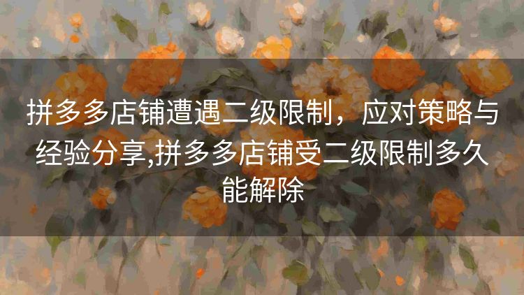 拼多多店铺遭遇二级限制,应对策略与经验分享,拼多多店铺受二级限制多久能解除 拼多多店铺遭遇二级限制,应对策略与经验分享,拼多多店铺受二级限制多久能解除