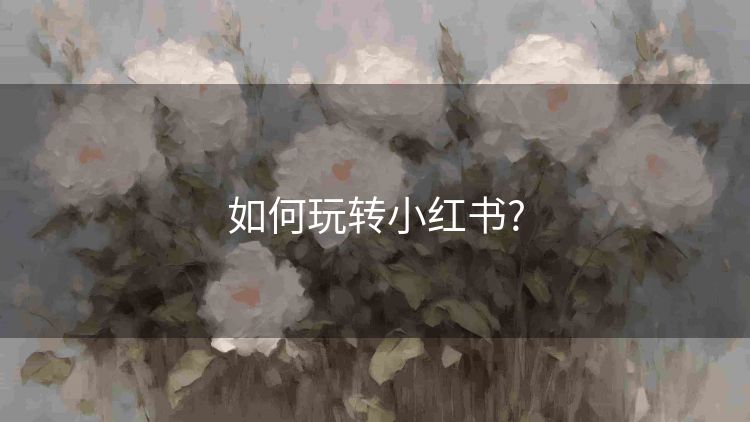 如何玩转小红书?