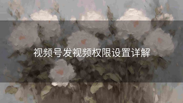 视频号发视频权限设置详解