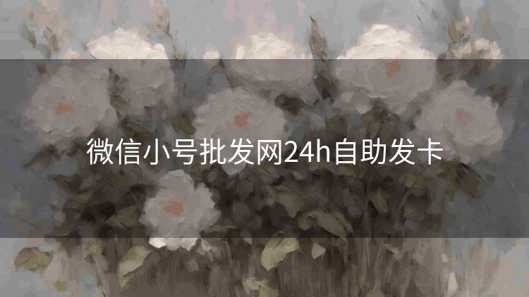 微信小号批发网24h自助发卡