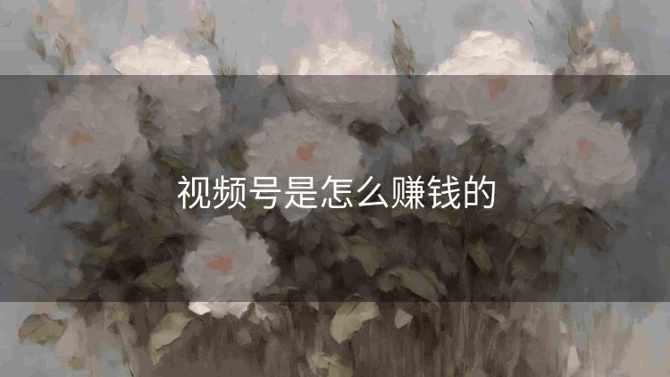 视频号是怎么赚钱的 视频号是怎么赚钱的