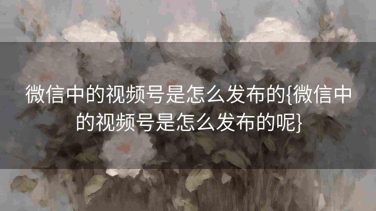 微信中的视频号是怎么发布的{微信中的视频号是怎么发布的呢}