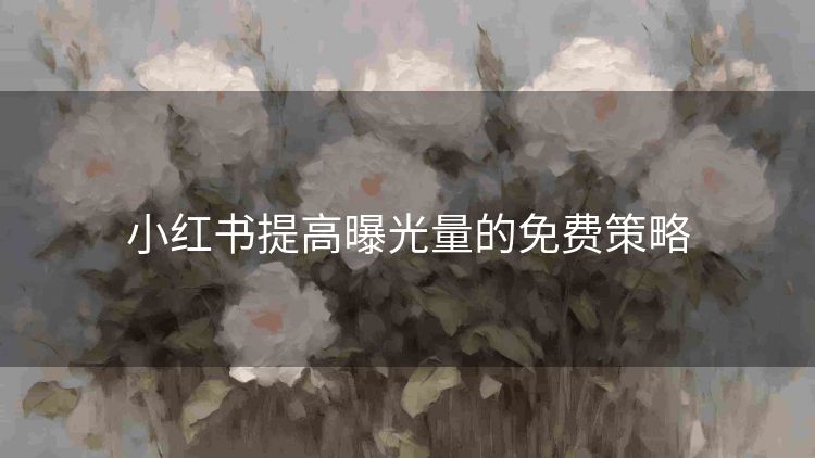 小红书提高曝光量的免费策略