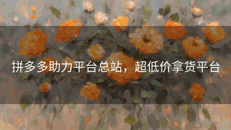 拼多多助力平台总站,超低价拿货平台 拼多多助力平台总站,超低价拿货平台