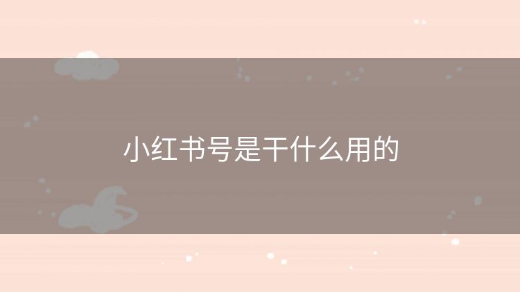 小红书号是干什么用的