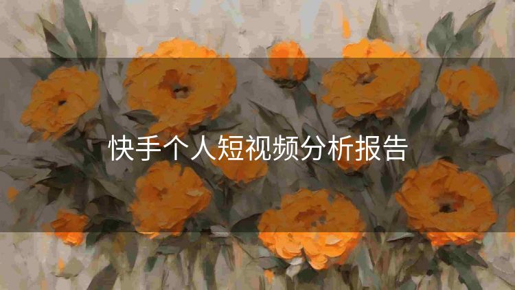 快手个人短视频分析报告
