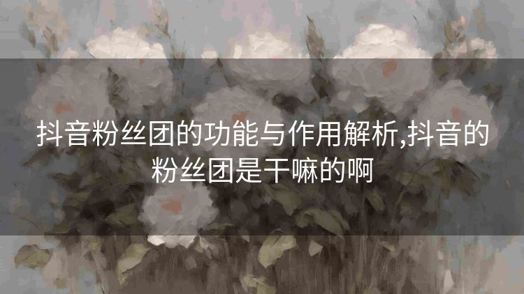 抖音粉丝团的功能与作用解析,抖音的粉丝团是干嘛的啊