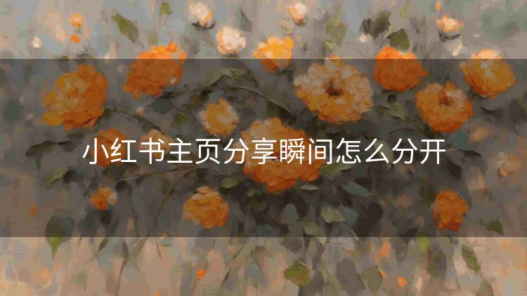小红书主页分享瞬间怎么分开 小红书主页分享瞬间怎么分开