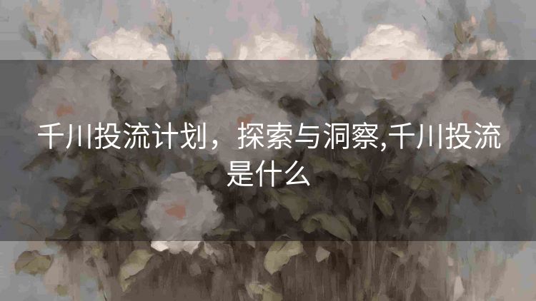 千川投流计划,探索与洞察,千川投流是什么 千川投流计划,探索与洞察,千川投流是什么