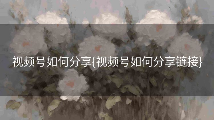 视频号如何分享{视频号如何分享链接}