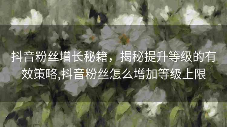 抖音粉丝增长秘籍，揭秘提升等级的有效策略,抖音粉丝怎么增加等级上限