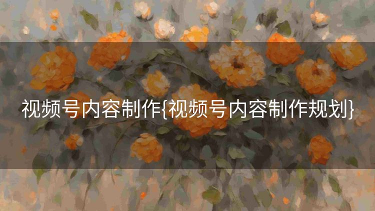 视频号内容制作{视频号内容制作规划} 视频号内容制作{视频号内容制作规划}