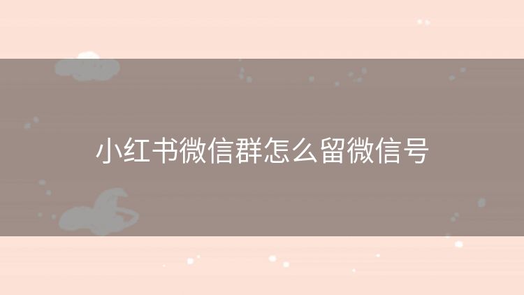 小红书微信群怎么留微信号 小红书微信群怎么留微信号