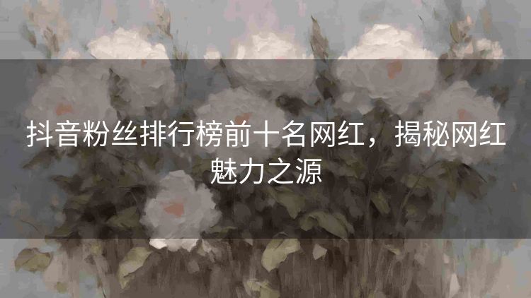 抖音粉丝排行榜前十名网红，揭秘网红魅力之源