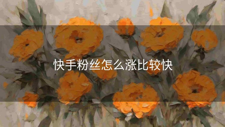 快手粉丝怎么涨比较快