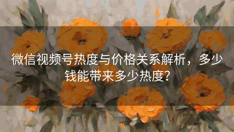 微信视频号热度与价格关系解析，多少钱能带来多少热度？