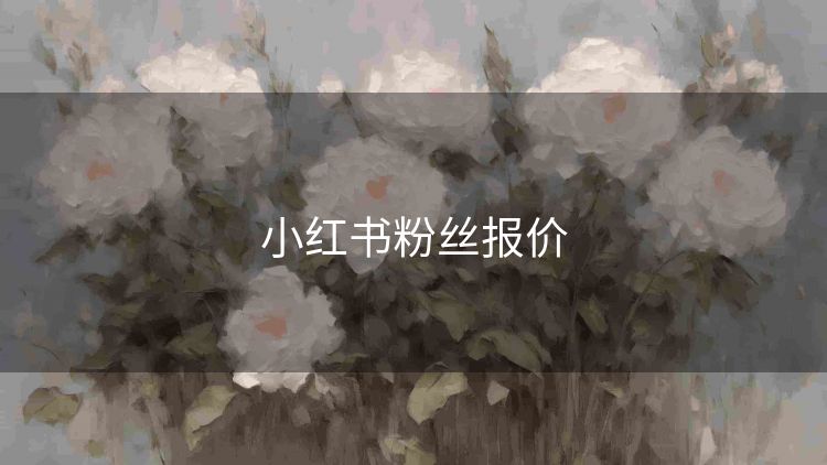 小红书粉丝报价