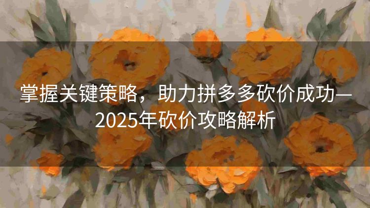 掌握关键策略，助力拼多多砍价成功—2025年砍价攻略解析