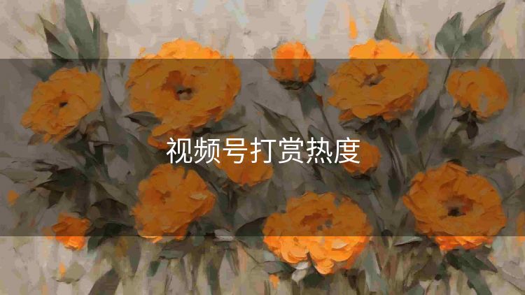 视频号打赏热度 视频号打赏热度