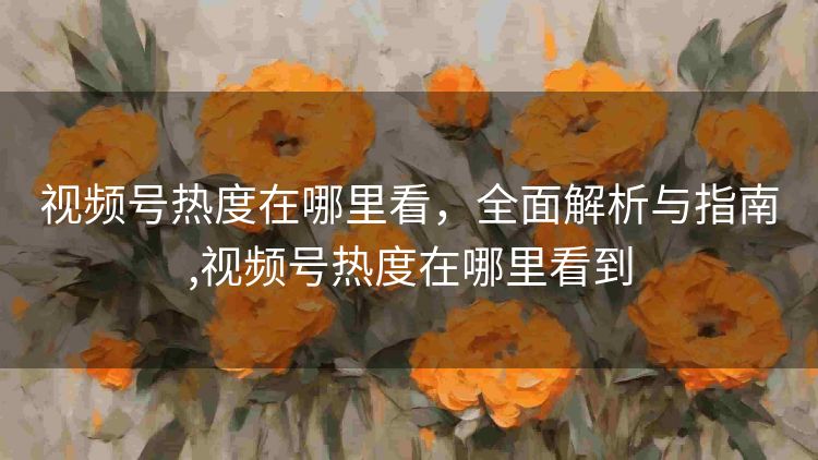 视频号热度在哪里看，全面解析与指南,视频号热度在哪里看到