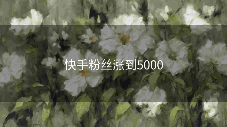 快手粉丝涨到5000 快手粉丝涨到5000
