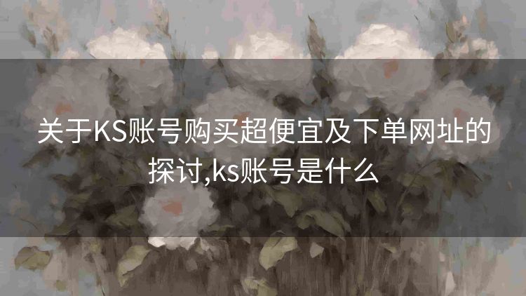 关于KS账号购买超便宜及下单网址的探讨,ks账号是什么