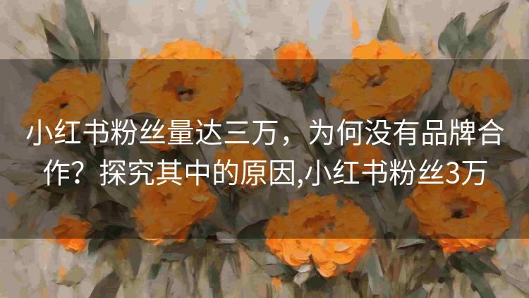 小红书粉丝量达三万,为何没有品牌合作?探究其中的原因,小红书粉丝3万 小红书粉丝量达三万,为何没有品牌合作?探究其中的原因,小红书粉丝3万